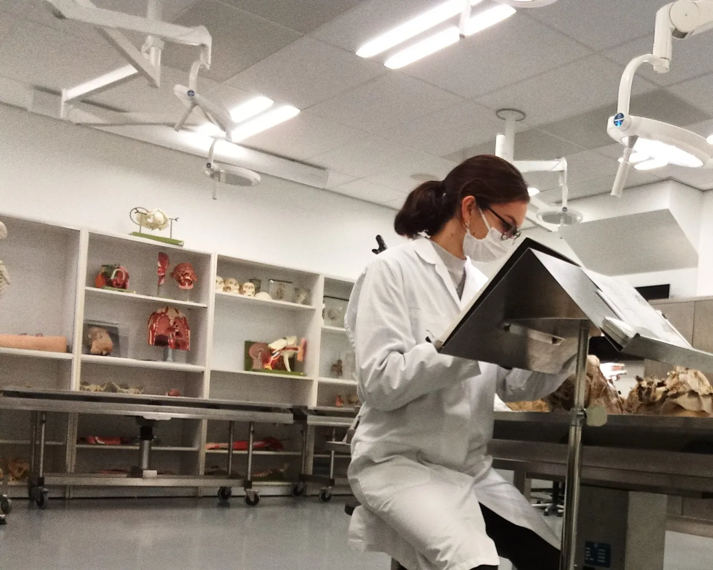 The illustrator in a lab coat and mask drawing at the dissection table in an anatomy lab