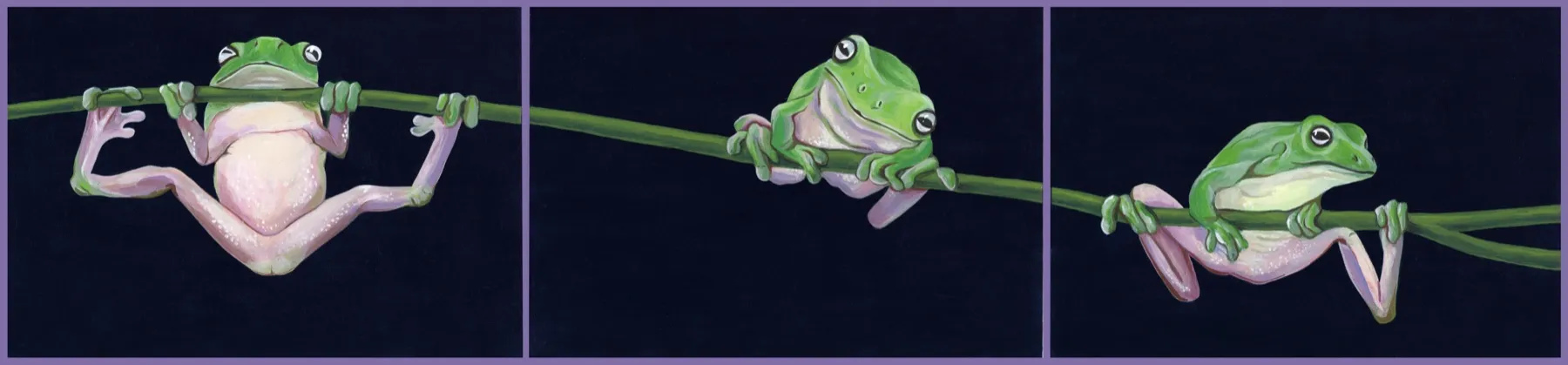 Three panels in a row, each with a green tree frog on the same branch against a dark ground
