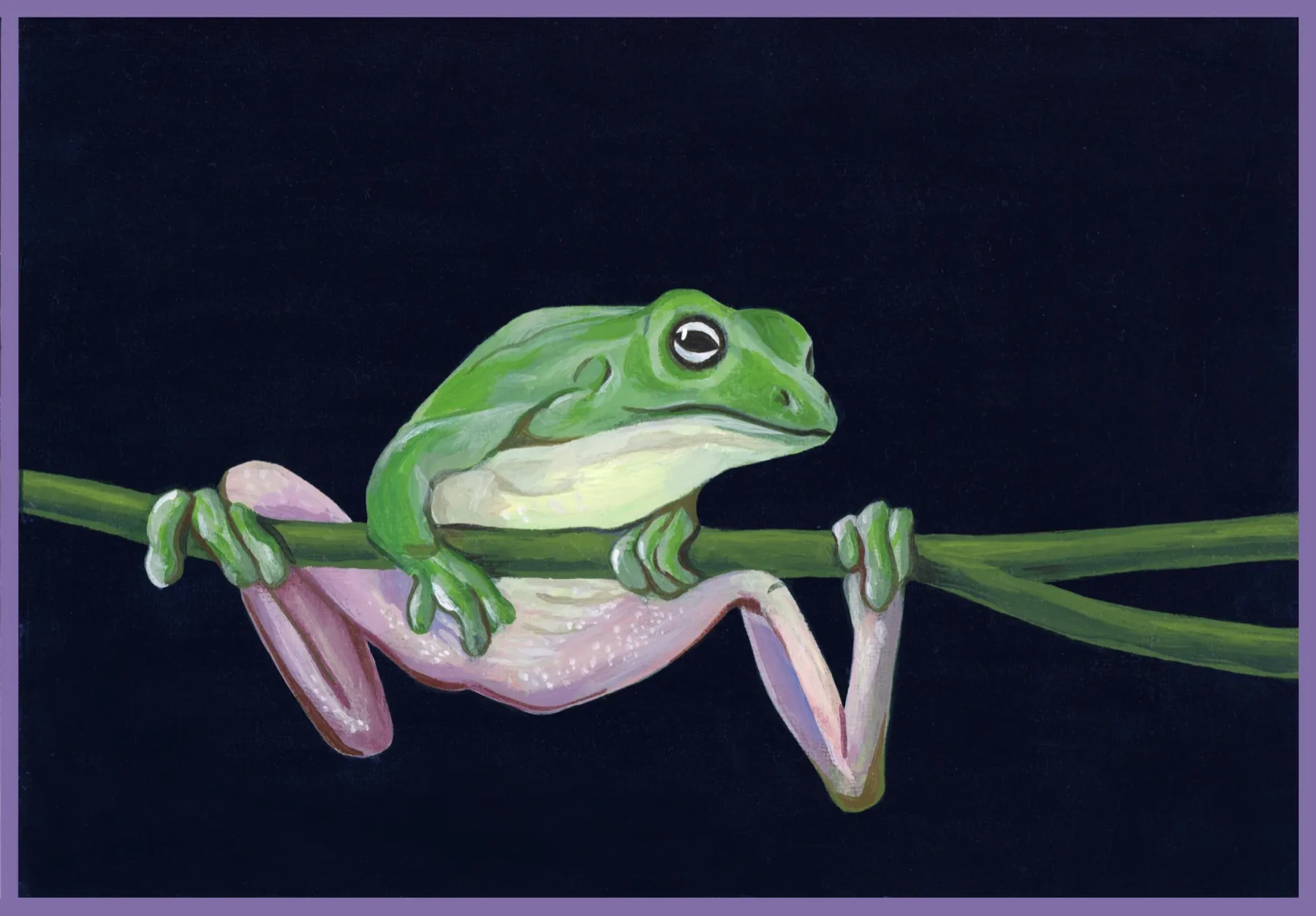 Middle panel: the frog resting along the branch, seen from the side