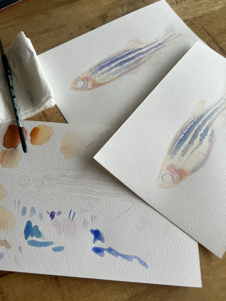 Watercolour fish studies on paper beside a palette and brush