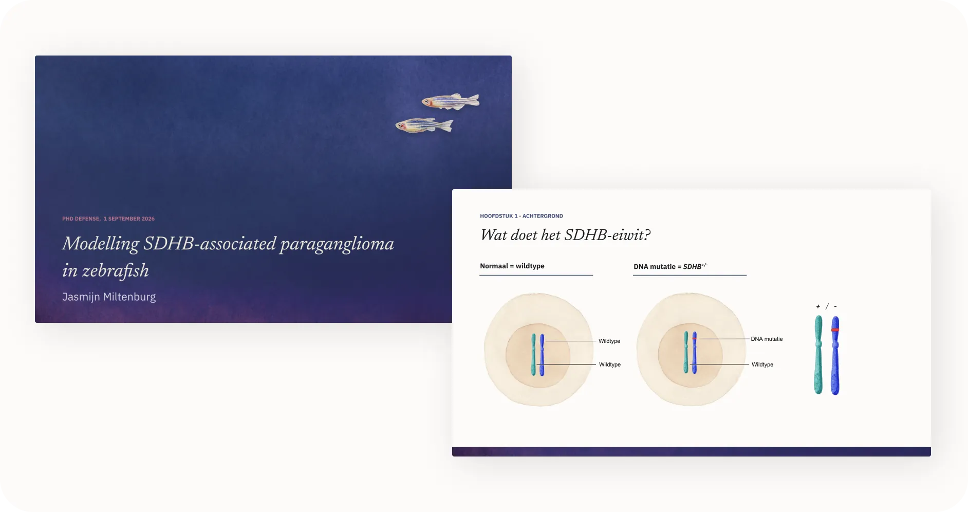 Two slides from an illustrated thesis defence presentation
