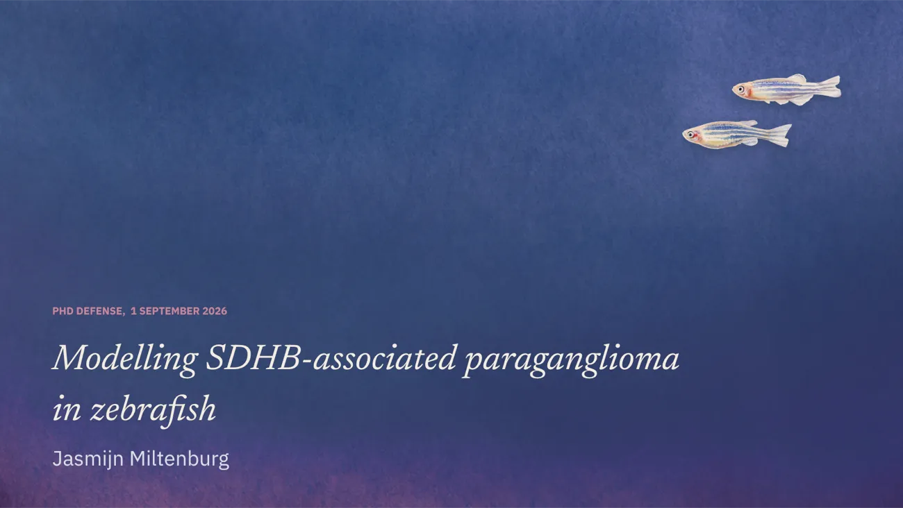 Title slide: Modelling SDHB-associated paraganglioma in zebrafish