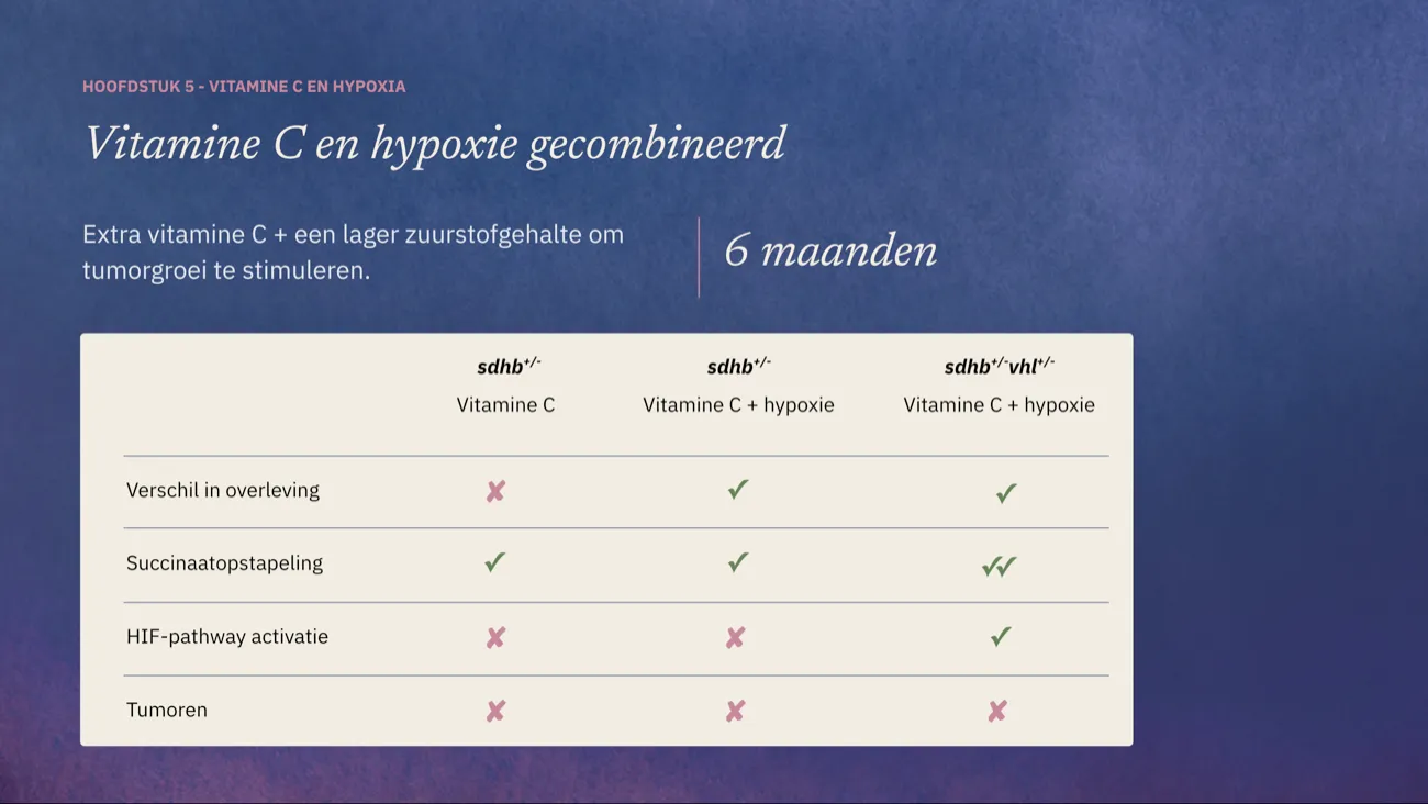 Slide: Vitamine C en hypoxie gecombineerd