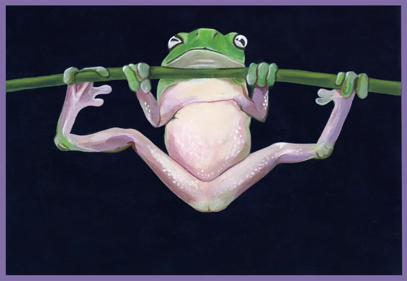 Gouache painting of a green tree frog hanging belly-out from a stem against a near-black ground.