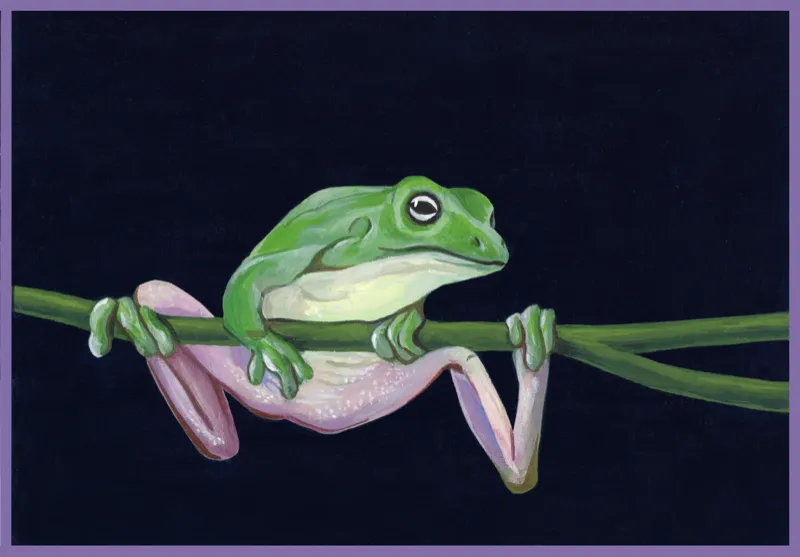 Gouache painting of a green tree frog stretched along a stem against a near-black ground.
